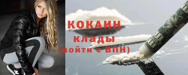 крисы Магас
