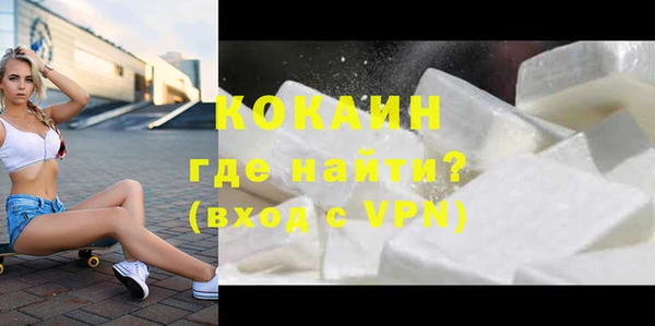 крисы Магас