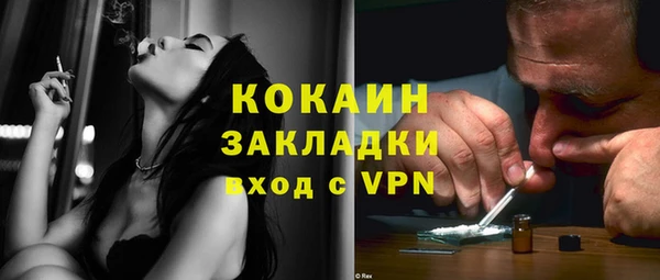 крисы Магас