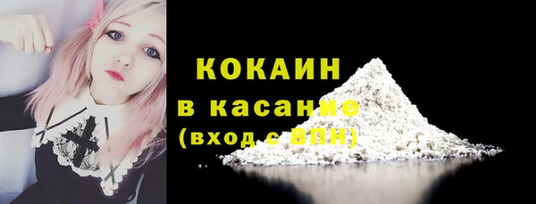 гашик Ладушкин