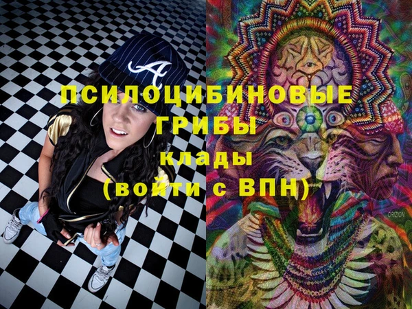 твердый Магадан