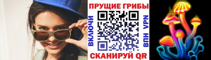 Псилоцибиновые грибы GOLDEN TEACHER  Чердынь 